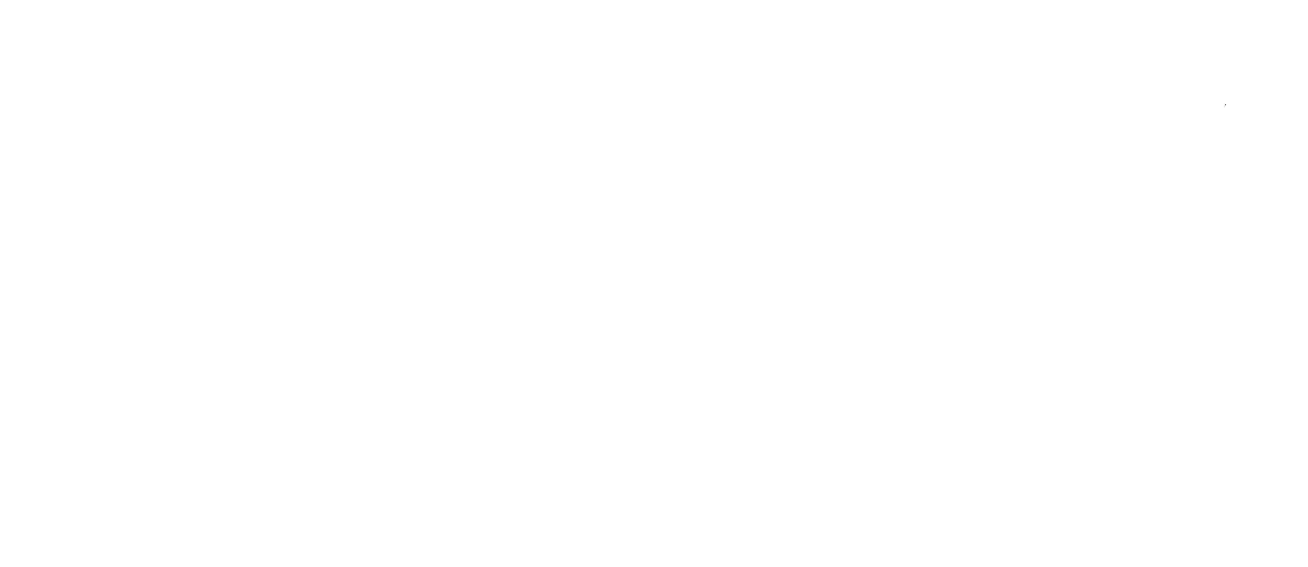 淞SONGX
